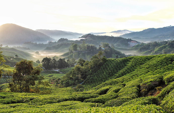 8 Places you must visit in Malaysia